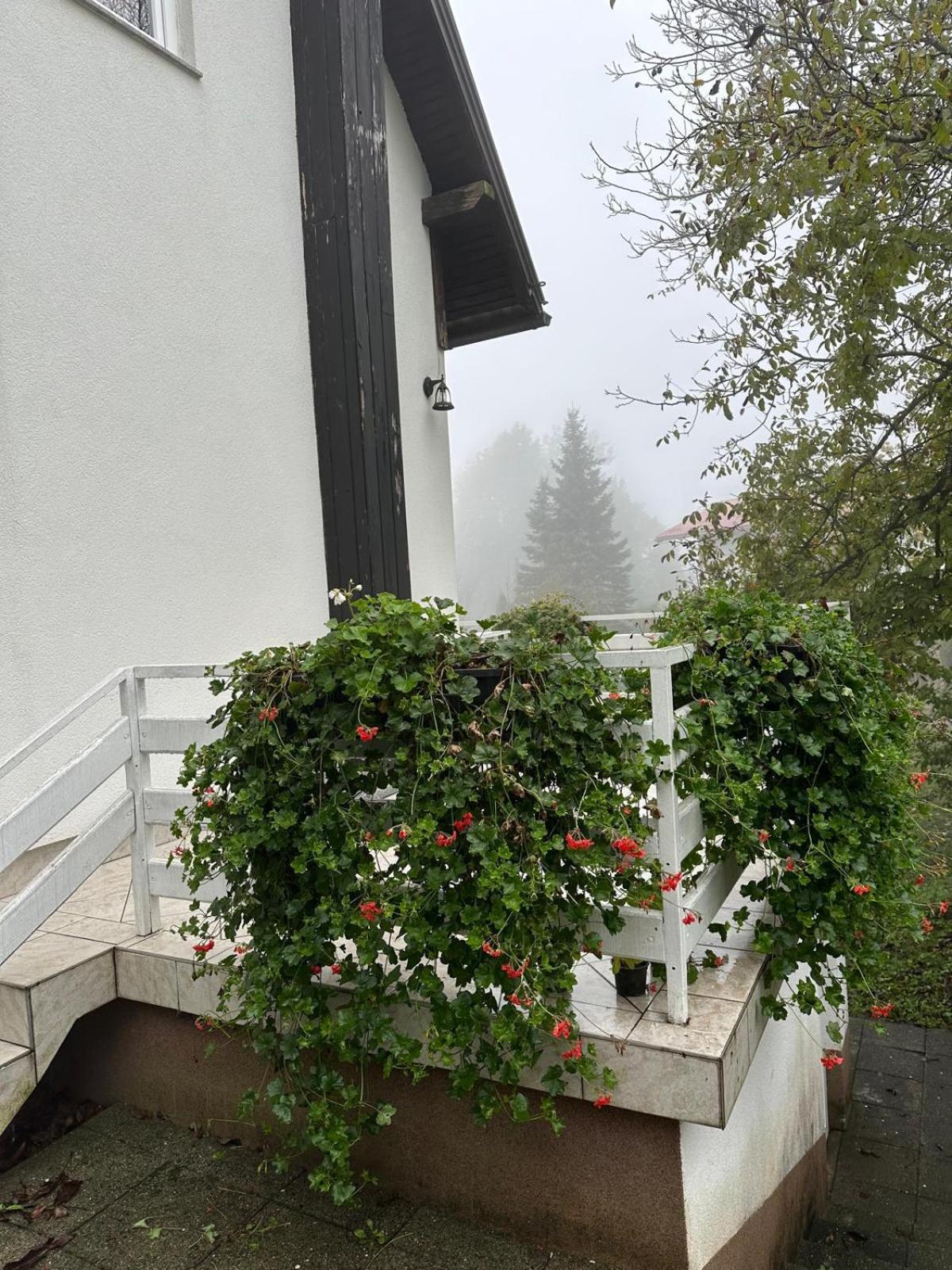 Guesthouse Nikola Plitvicka Jezera Bagian luar foto