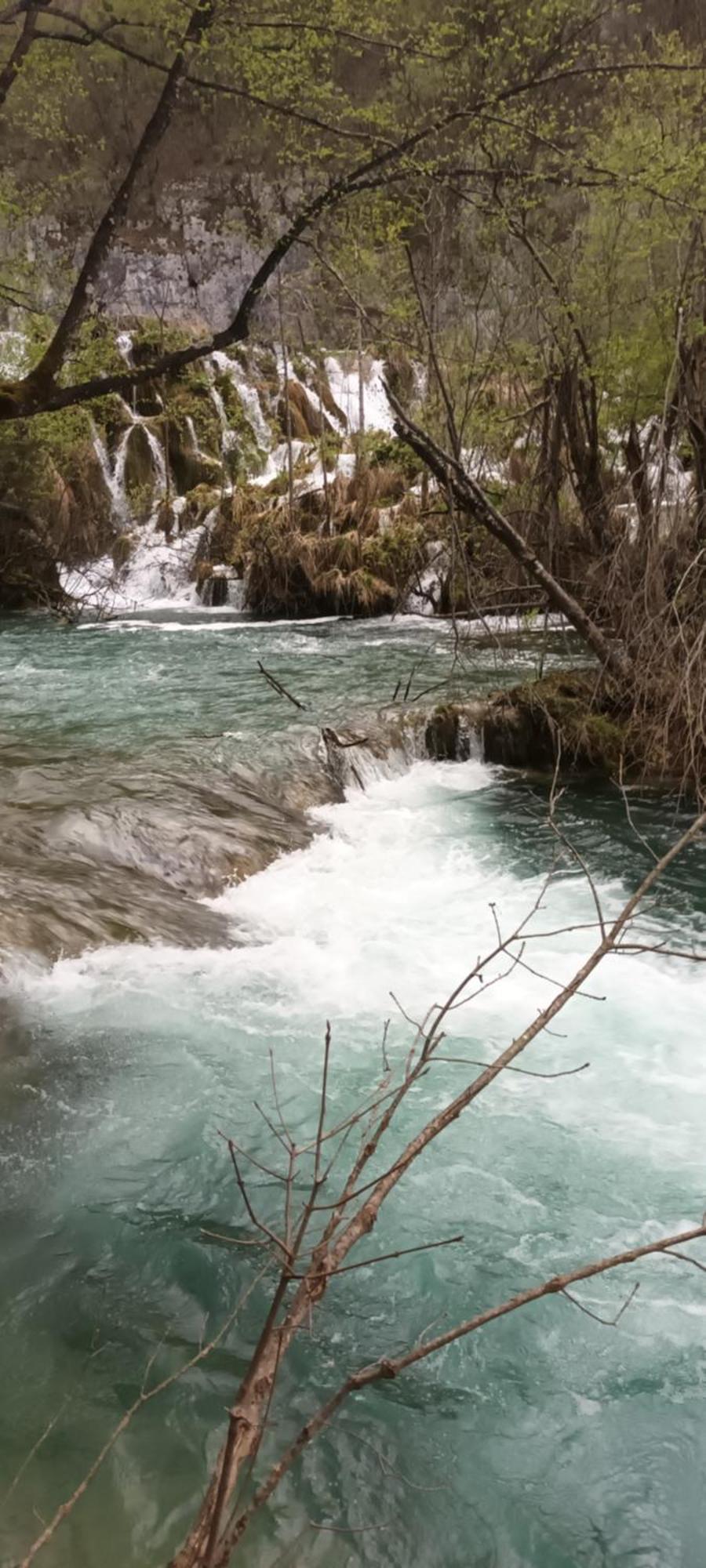 Guesthouse Nikola Plitvicka Jezera Bagian luar foto